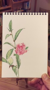 006