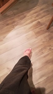 20294192_1595709320502648_3619700563772545624_n