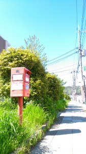 1492925693352 posotoと緑　島本町写真