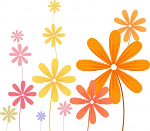 flower kosumosu